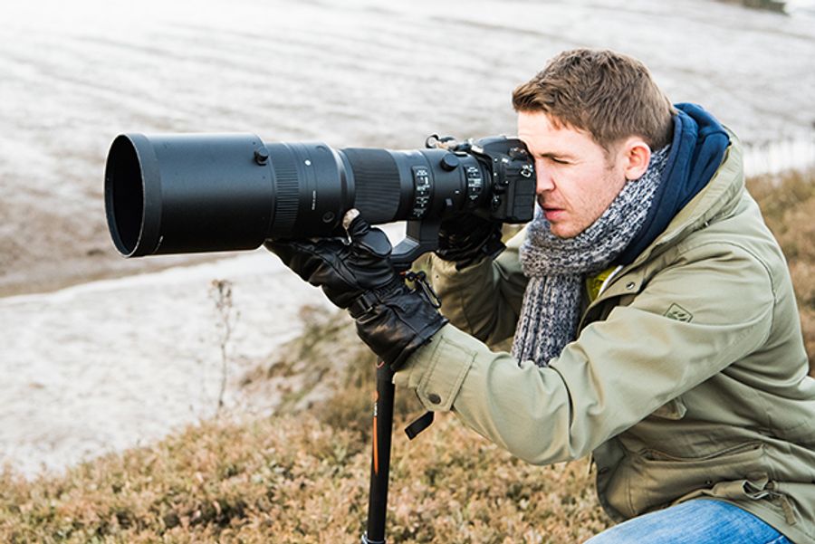 Best Camera for Wildlife Photography